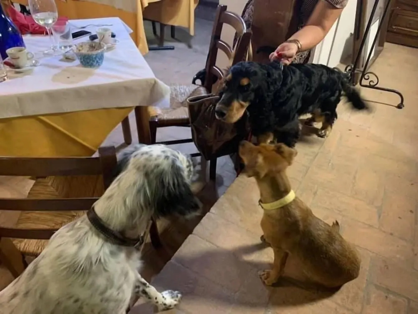 Setter House Agri Hotel