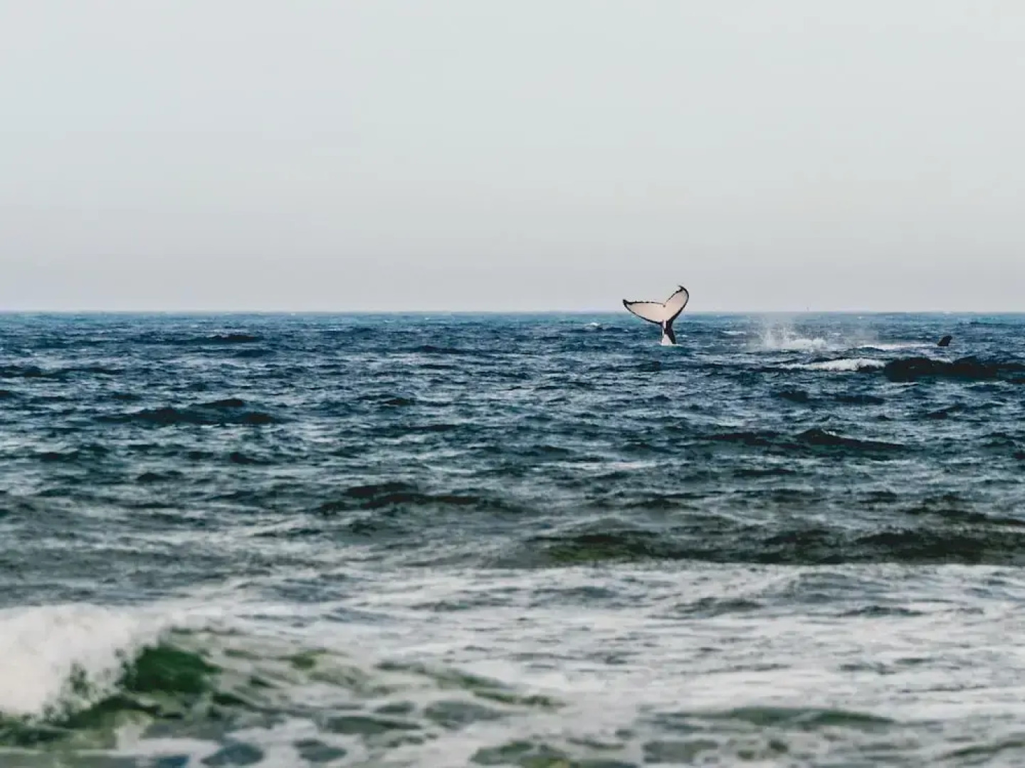 Big4 Bonny Hills Holiday Park