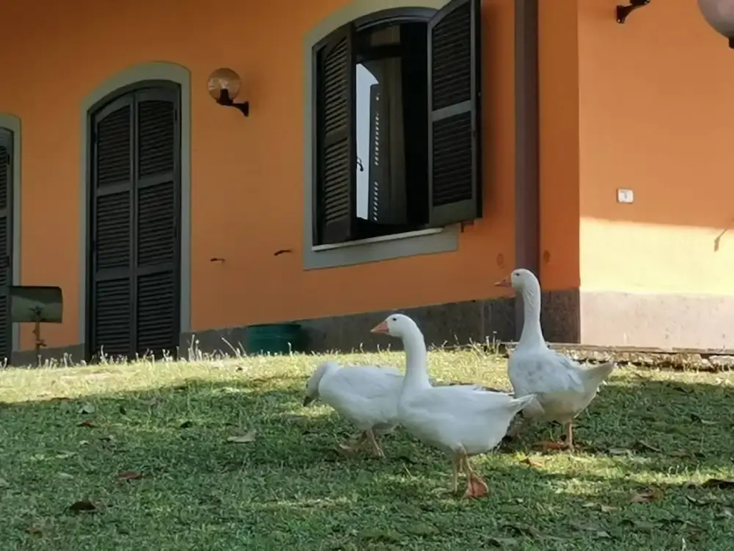 Rome Within Reach Relaxation, Nature, and a Private Pool!