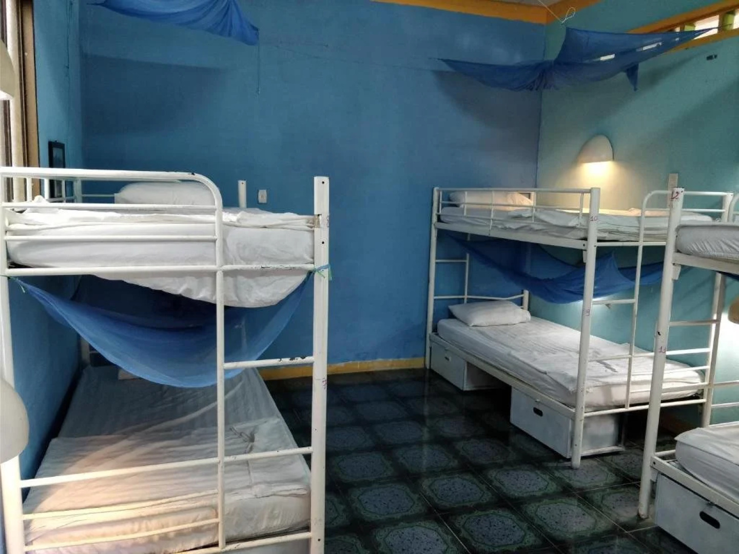 Big Tree Backpackers And Bistro