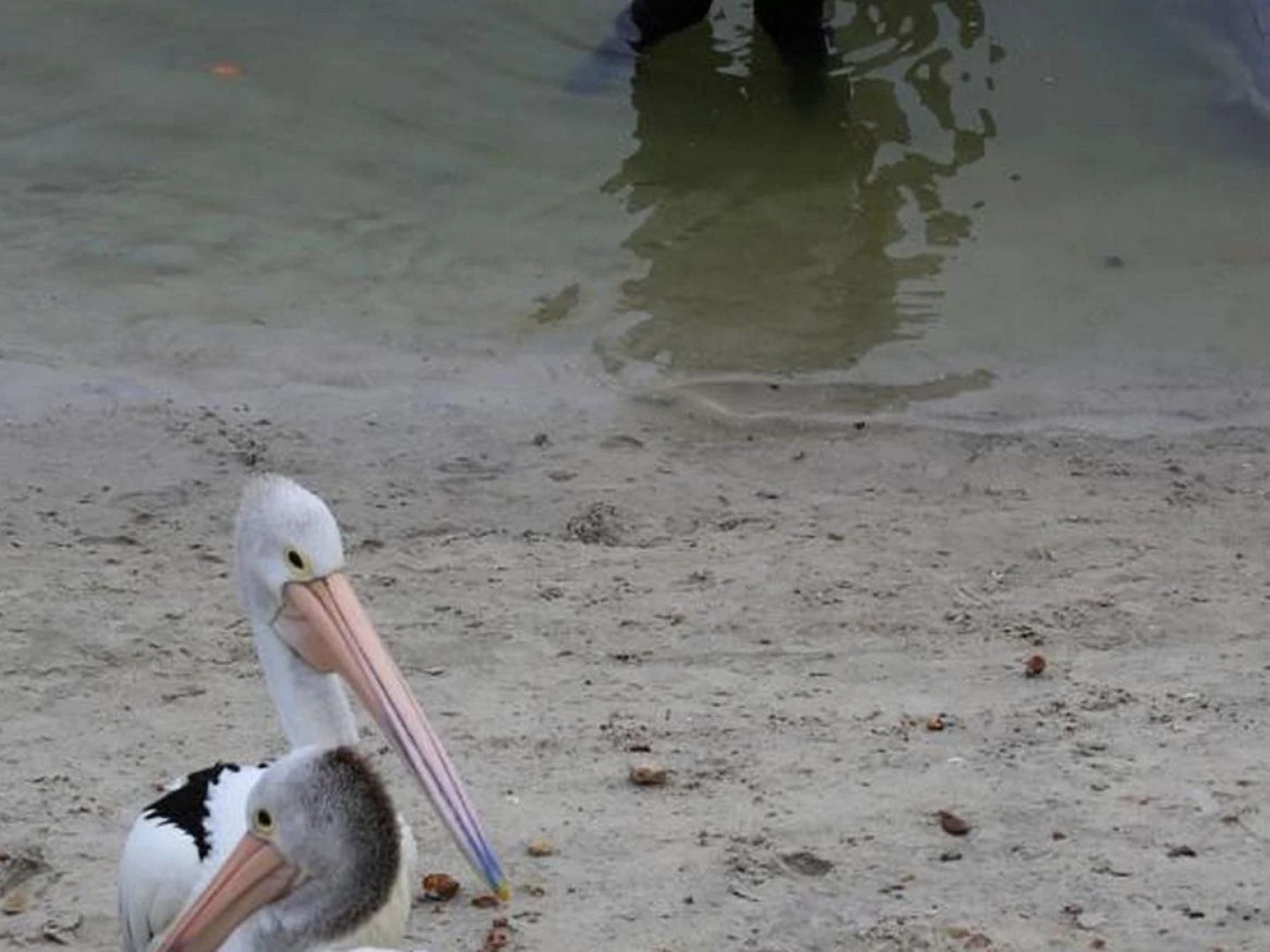 Tin Can Bay Tourist Park