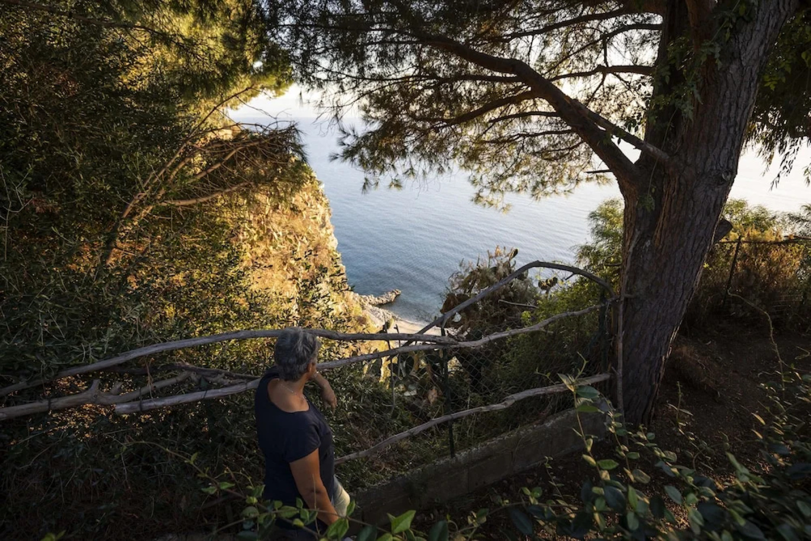 Ville Pini e Aurelia