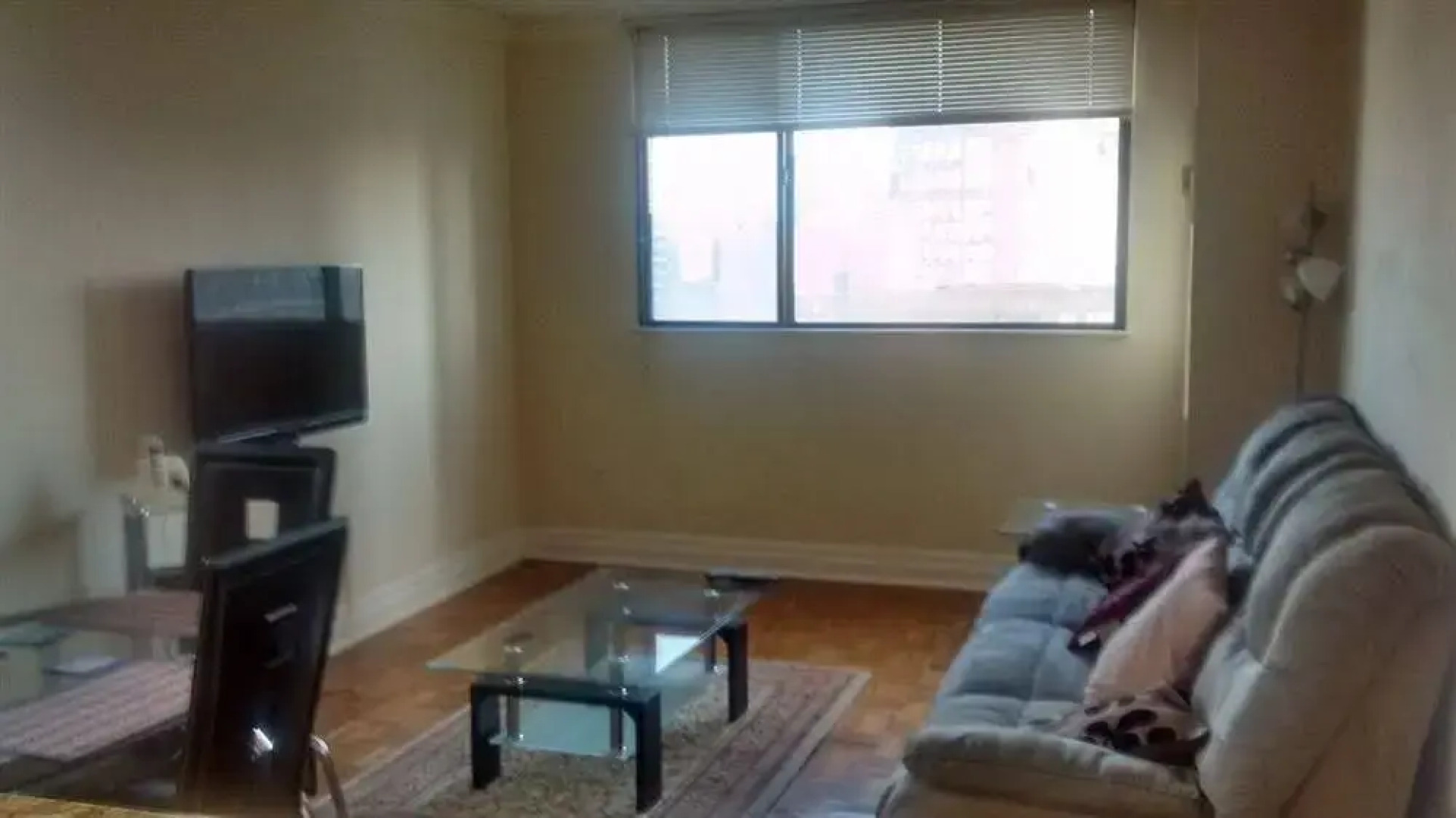 Apartments for Rent - Bay Street