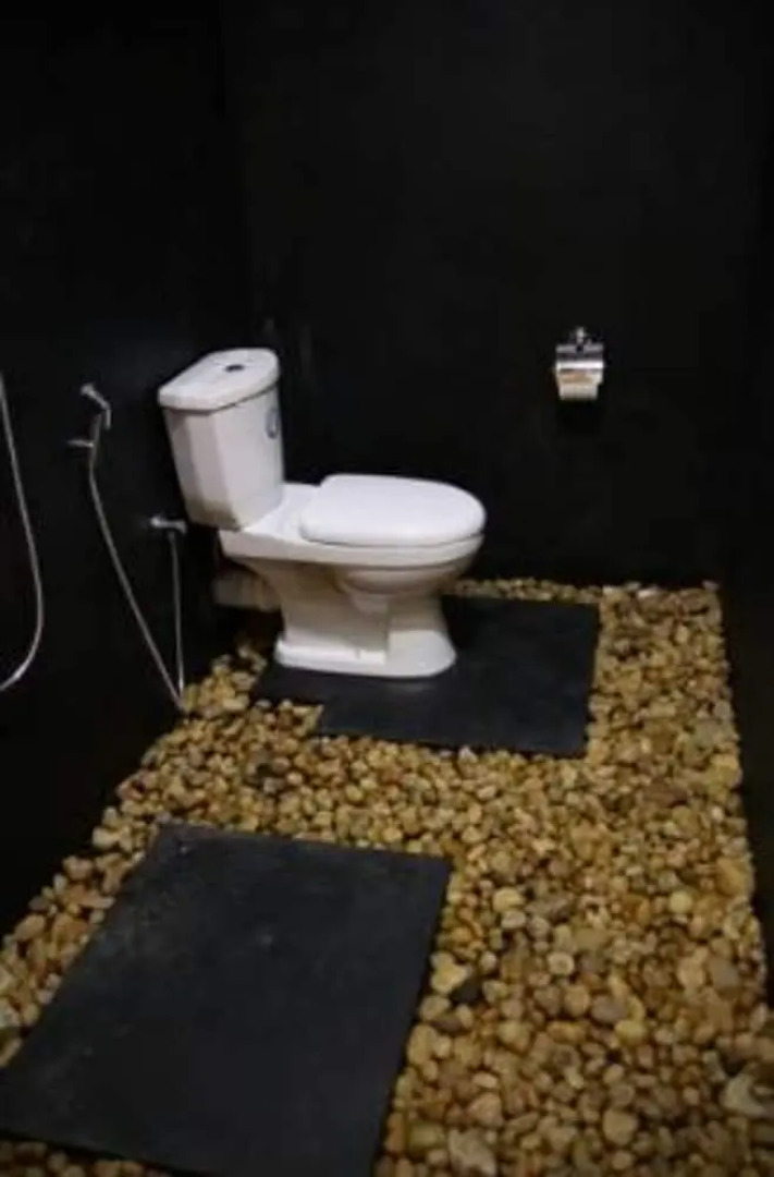 Wildlife Safari House