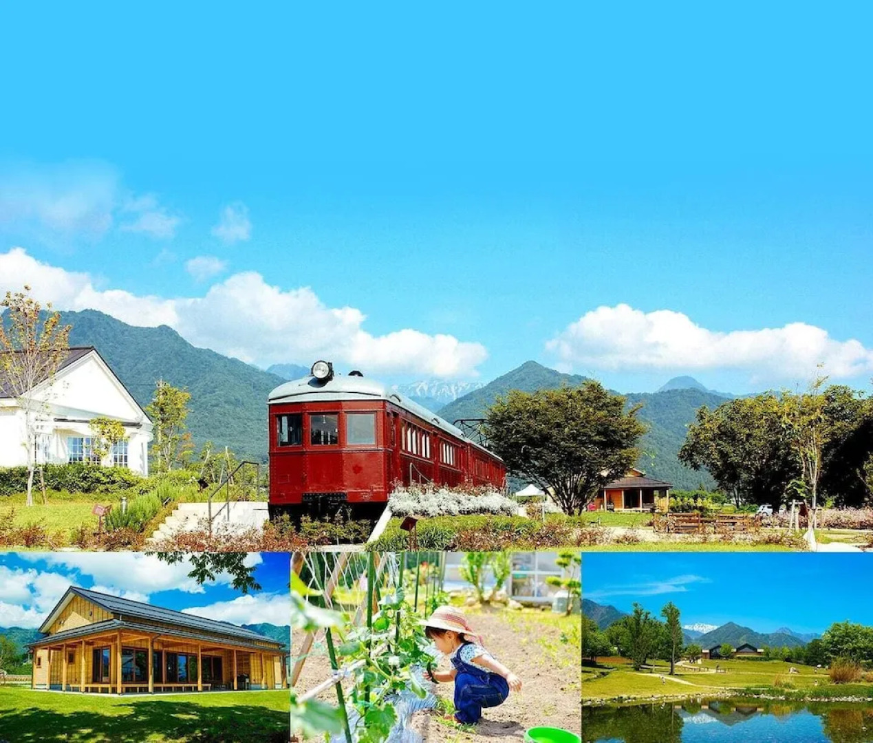 kongoji syukubo seihoin