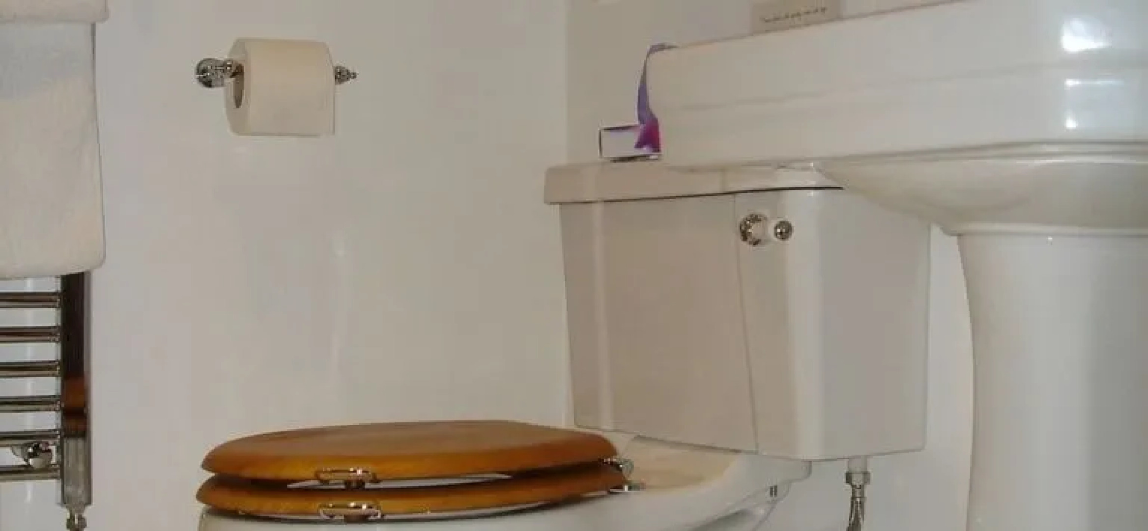 Mount Pleasant Lodge