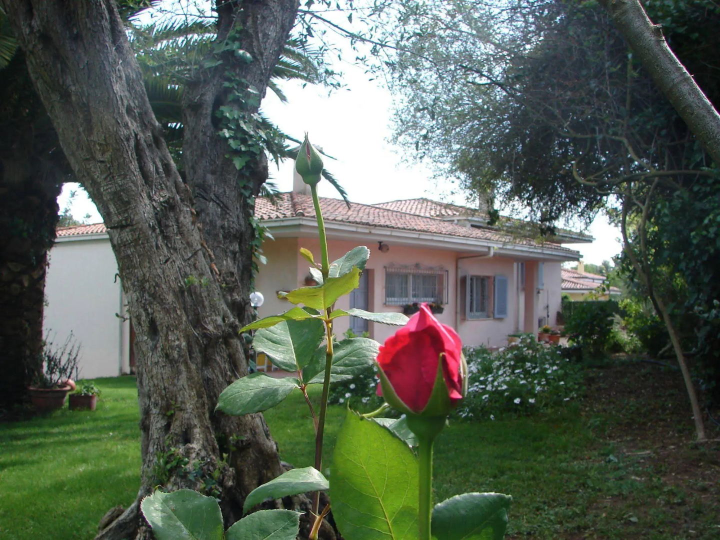 B&B Parco Delle Valli