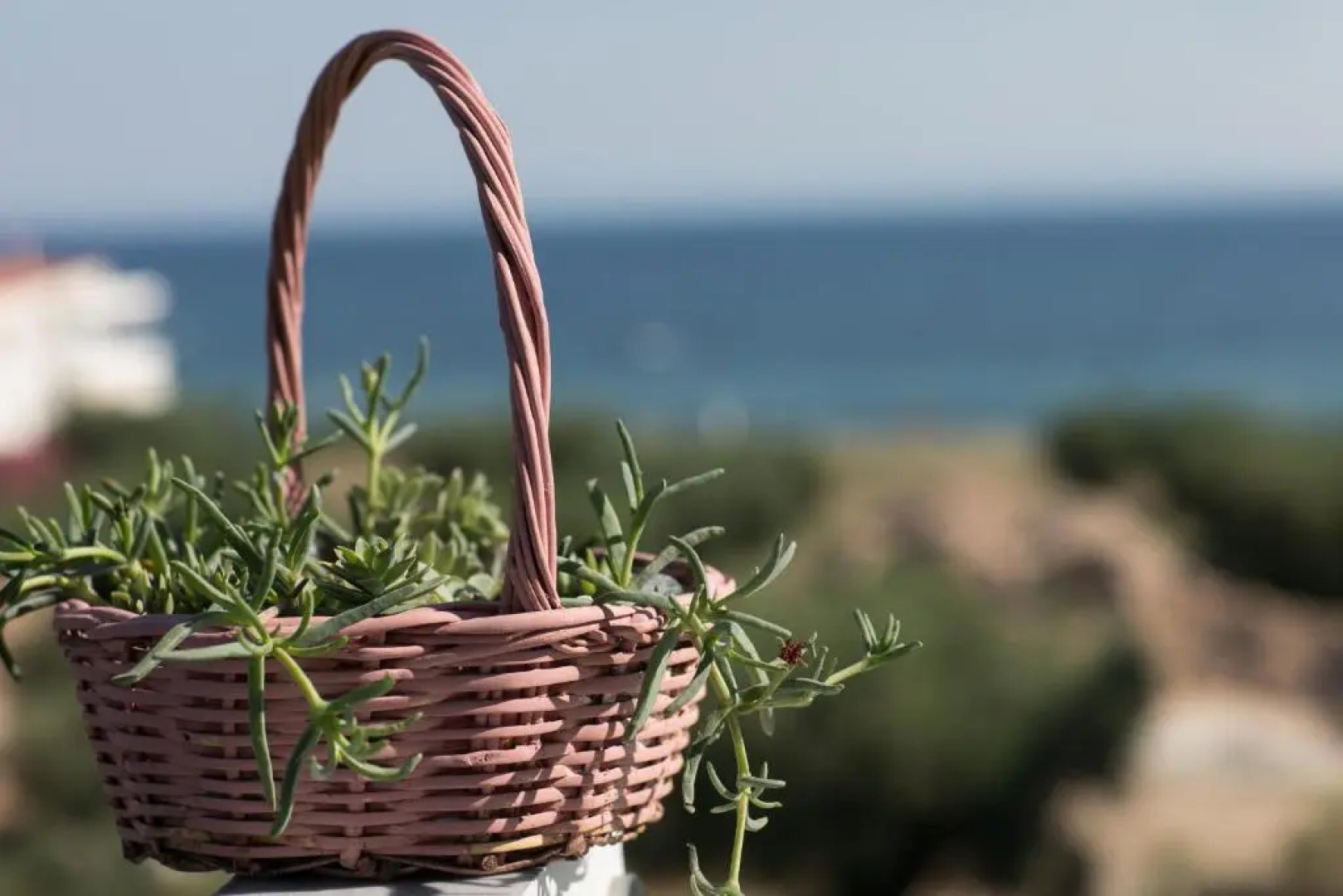 The House Of The Roses Seaview Superior Maisonette 3