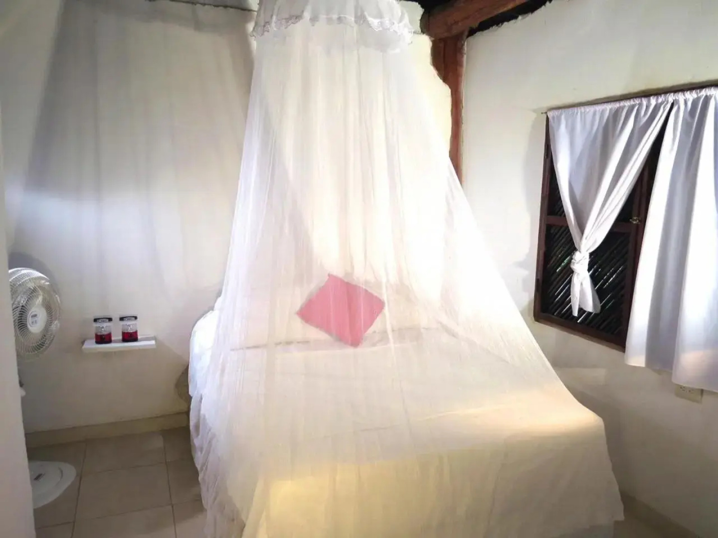 Palomino Breeze Hostal