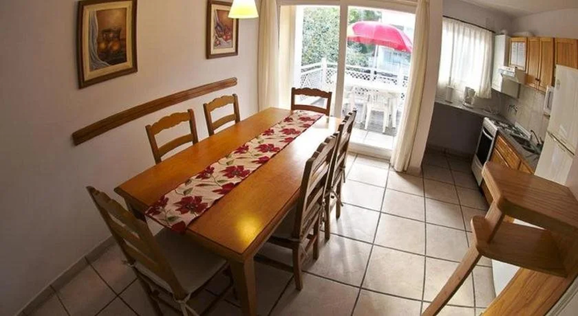 Arbol del Cielo Carilo