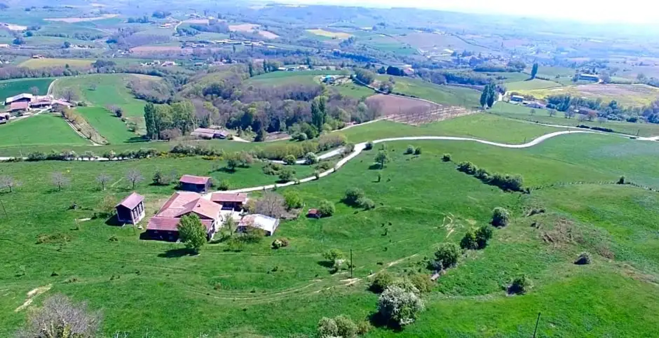 Alpagas Du Domaine Mael