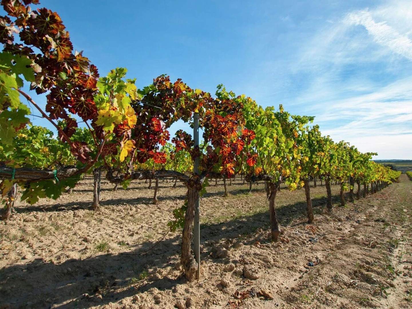 Elegant Cottage in Subirats With Rooftop Terrace