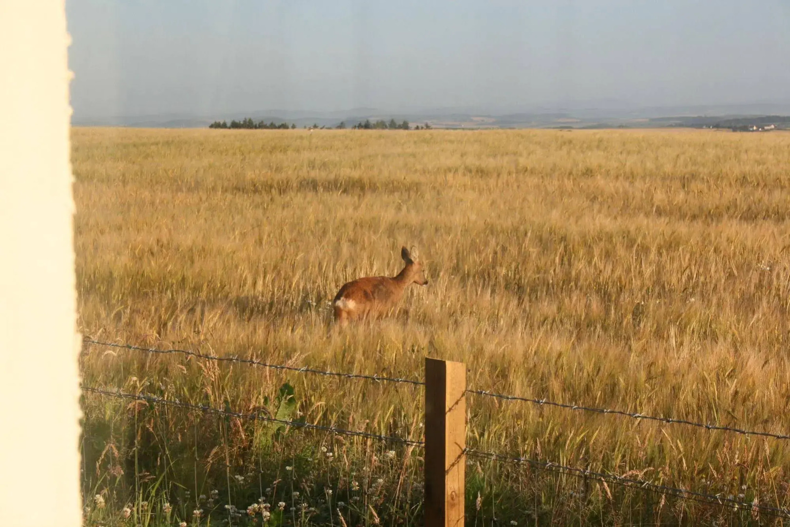 Tarskavaig Bed & Breakfast