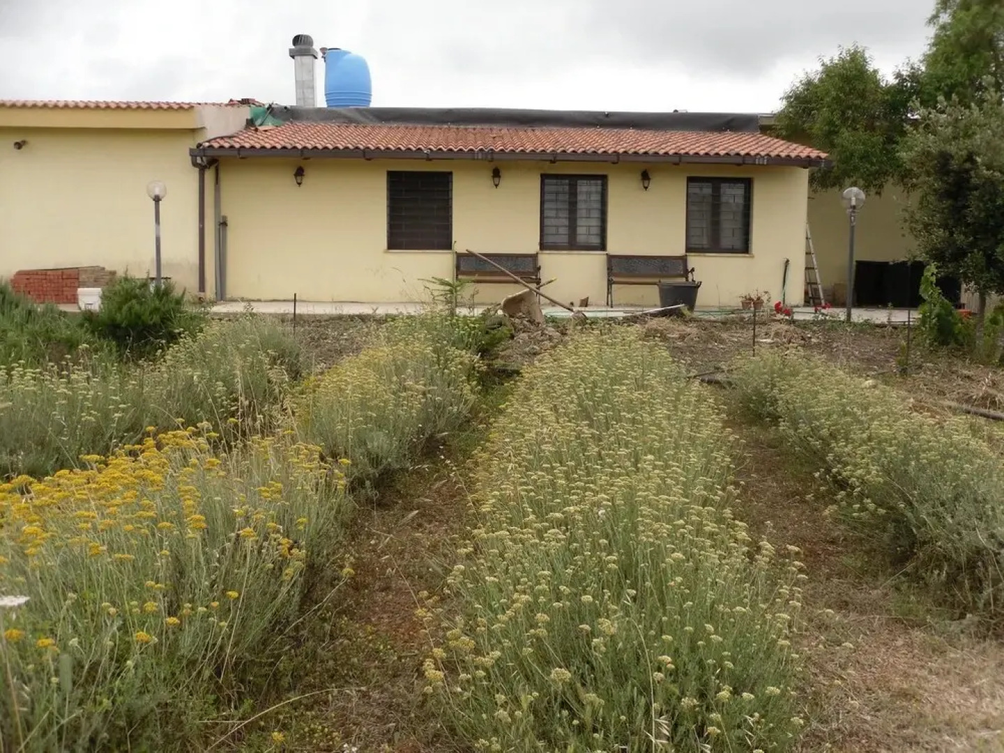 Fragus e Saboris de Sardigna