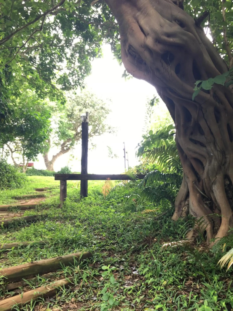 The Bridge 19 - Self Catering