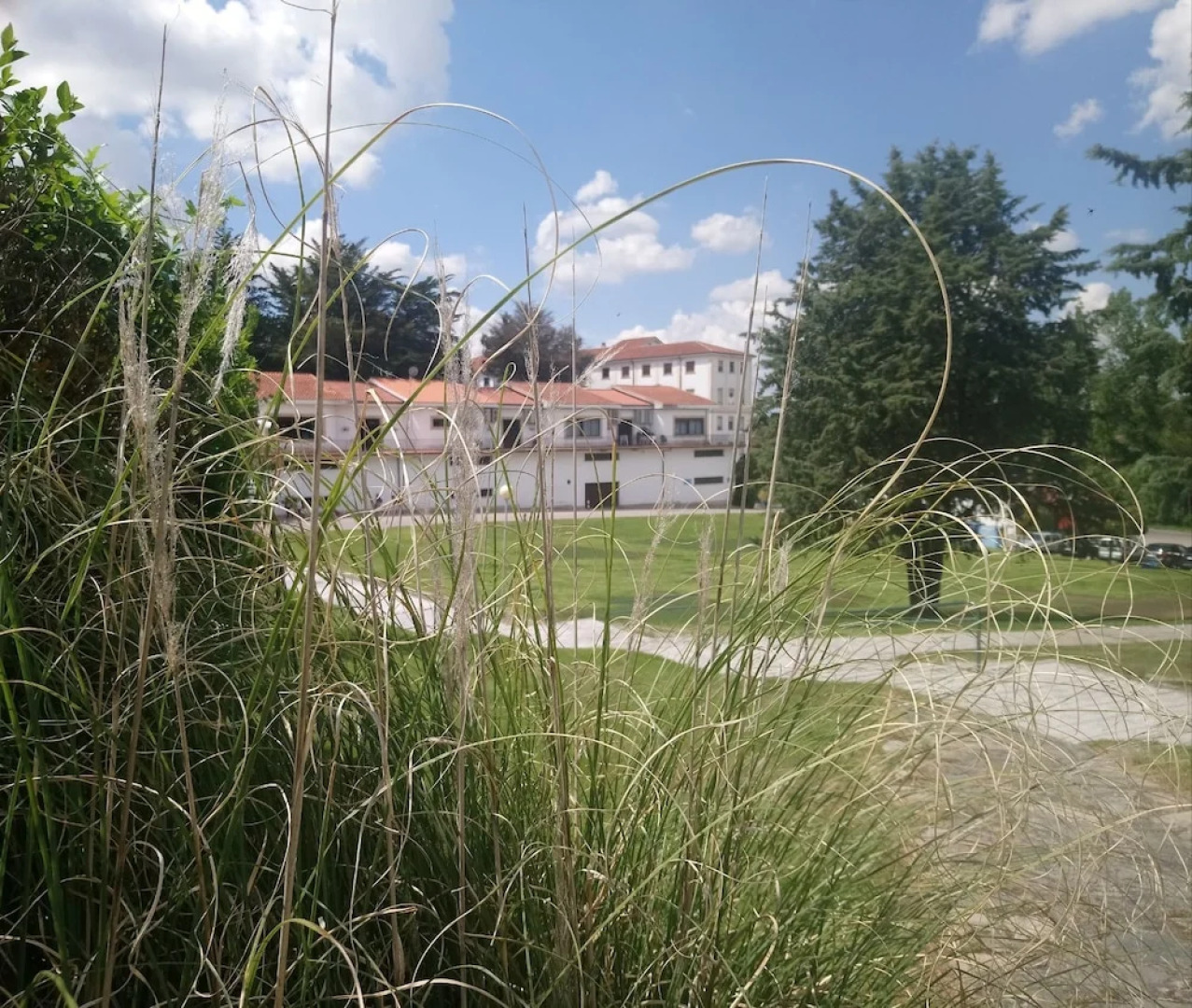 Balneario de Ledesma