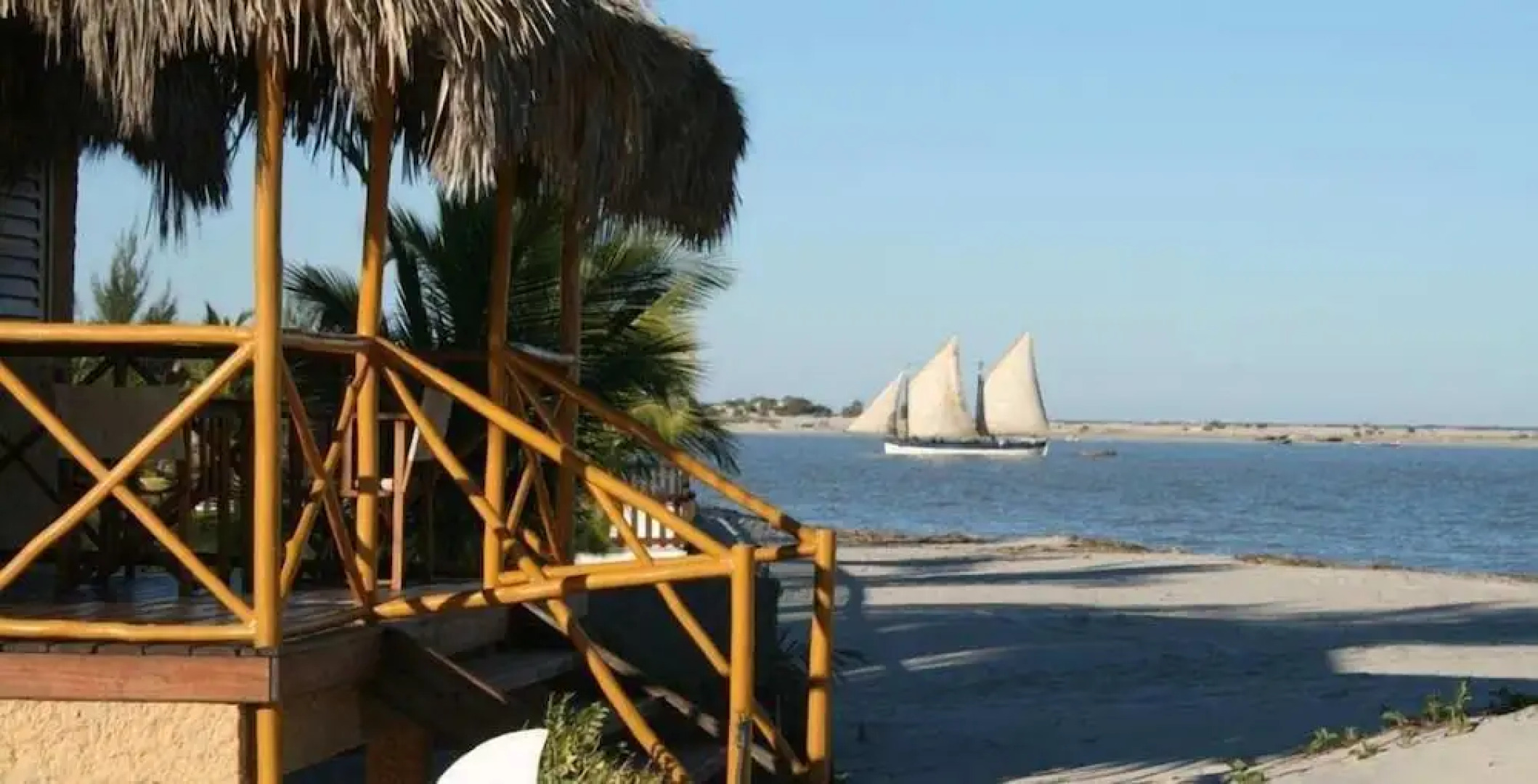 Palissandre Côte Ouest