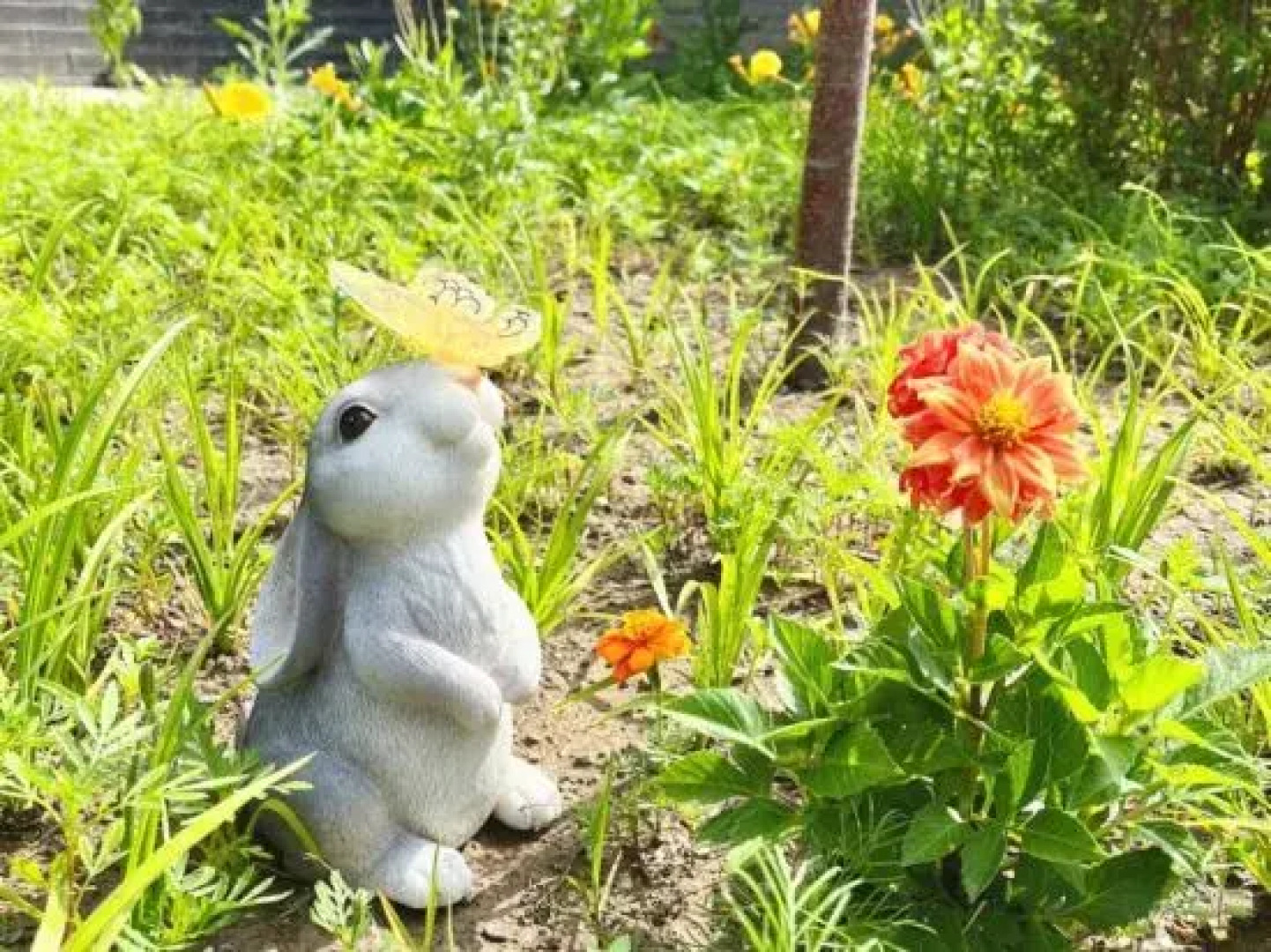 Tianxi Courtyard Hotel