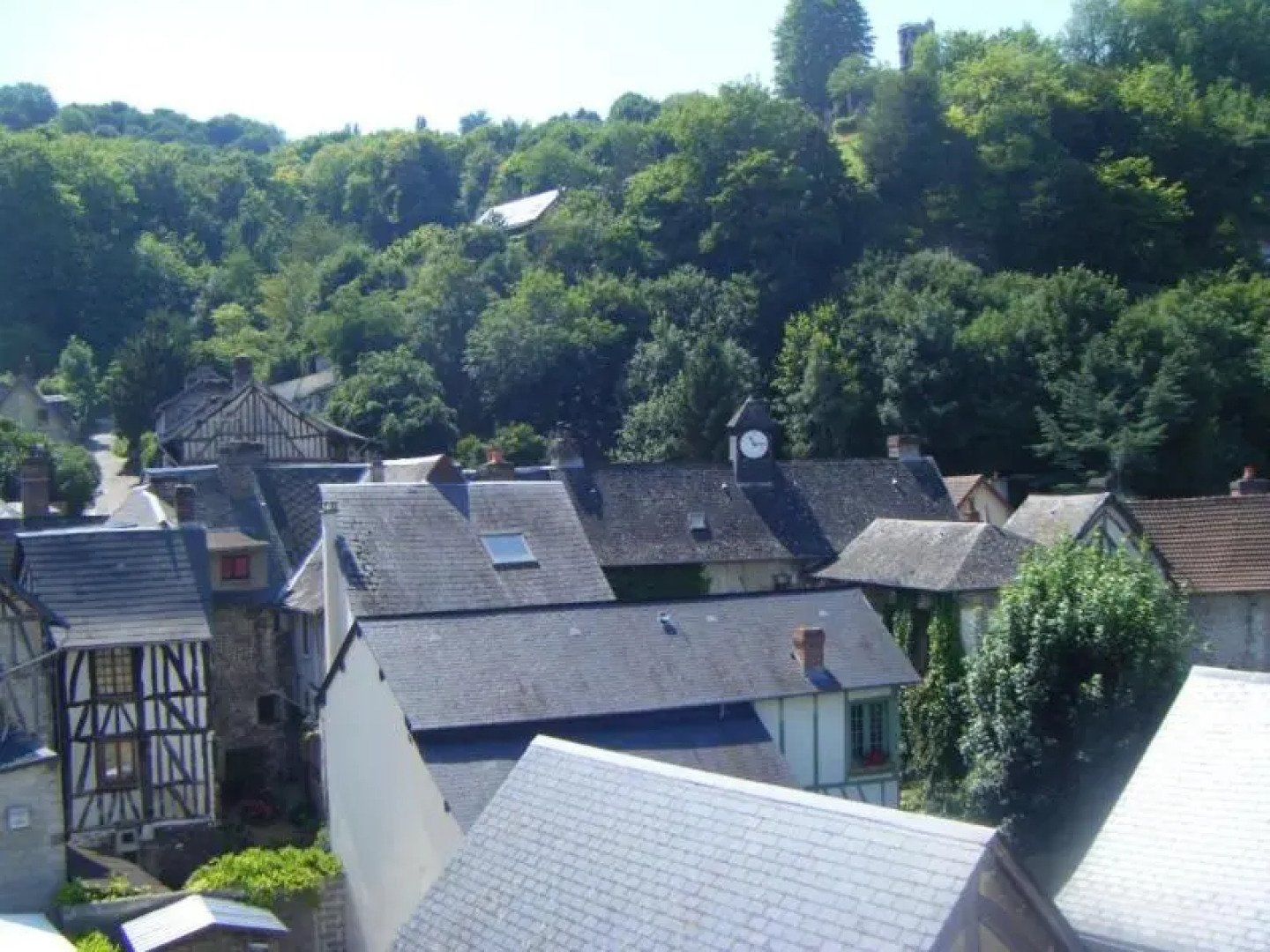 Logis les Cepages-Restaurant le Raisin