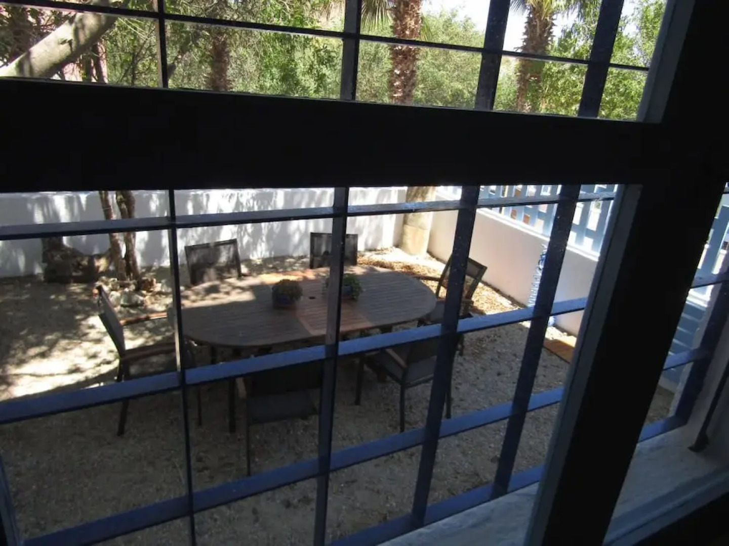 Caballo de Mar Appaloosa