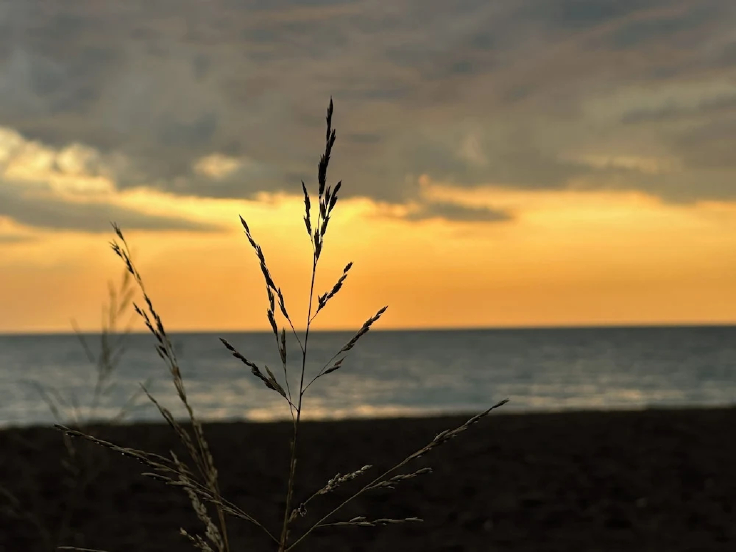 Illinois Beach Hotel