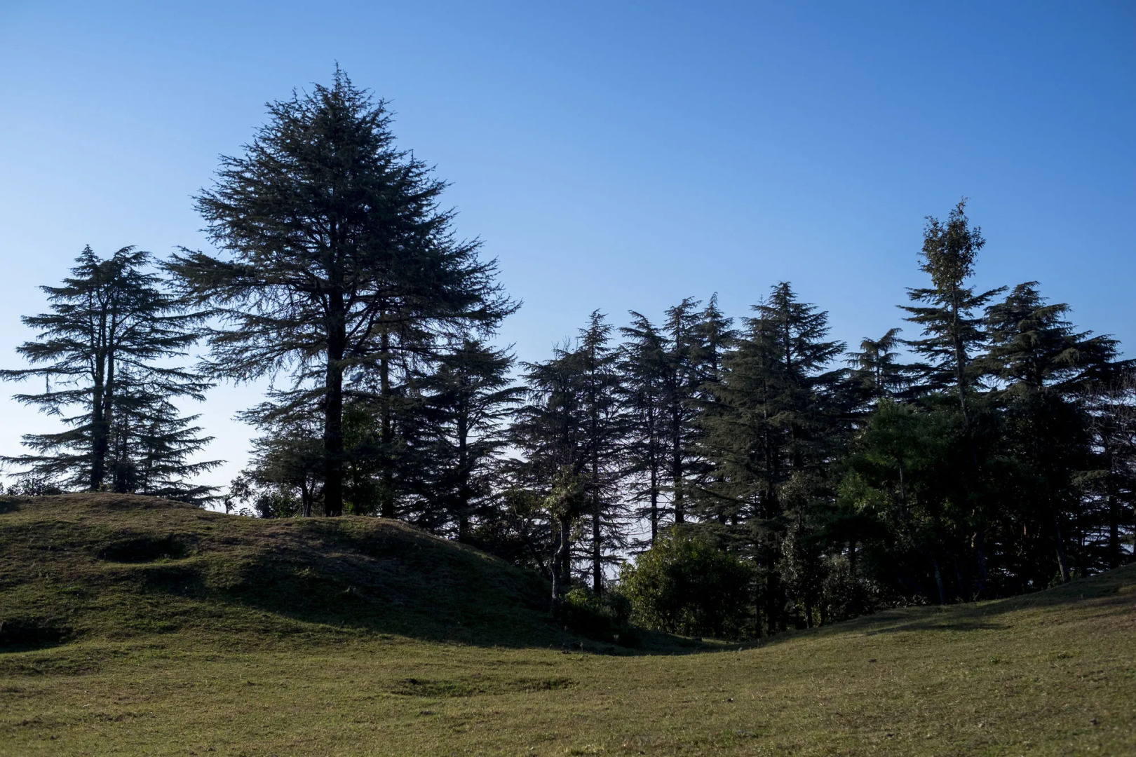 Mosaic Originals, Mussoorie