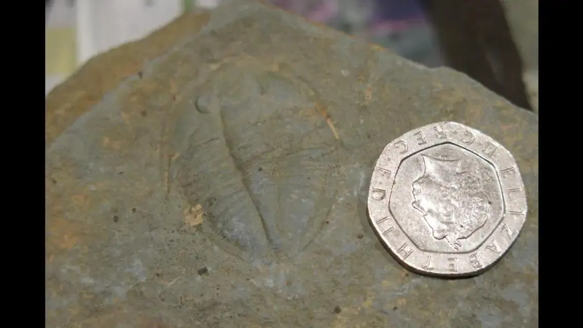 Upper Gilwern Quarry Hut