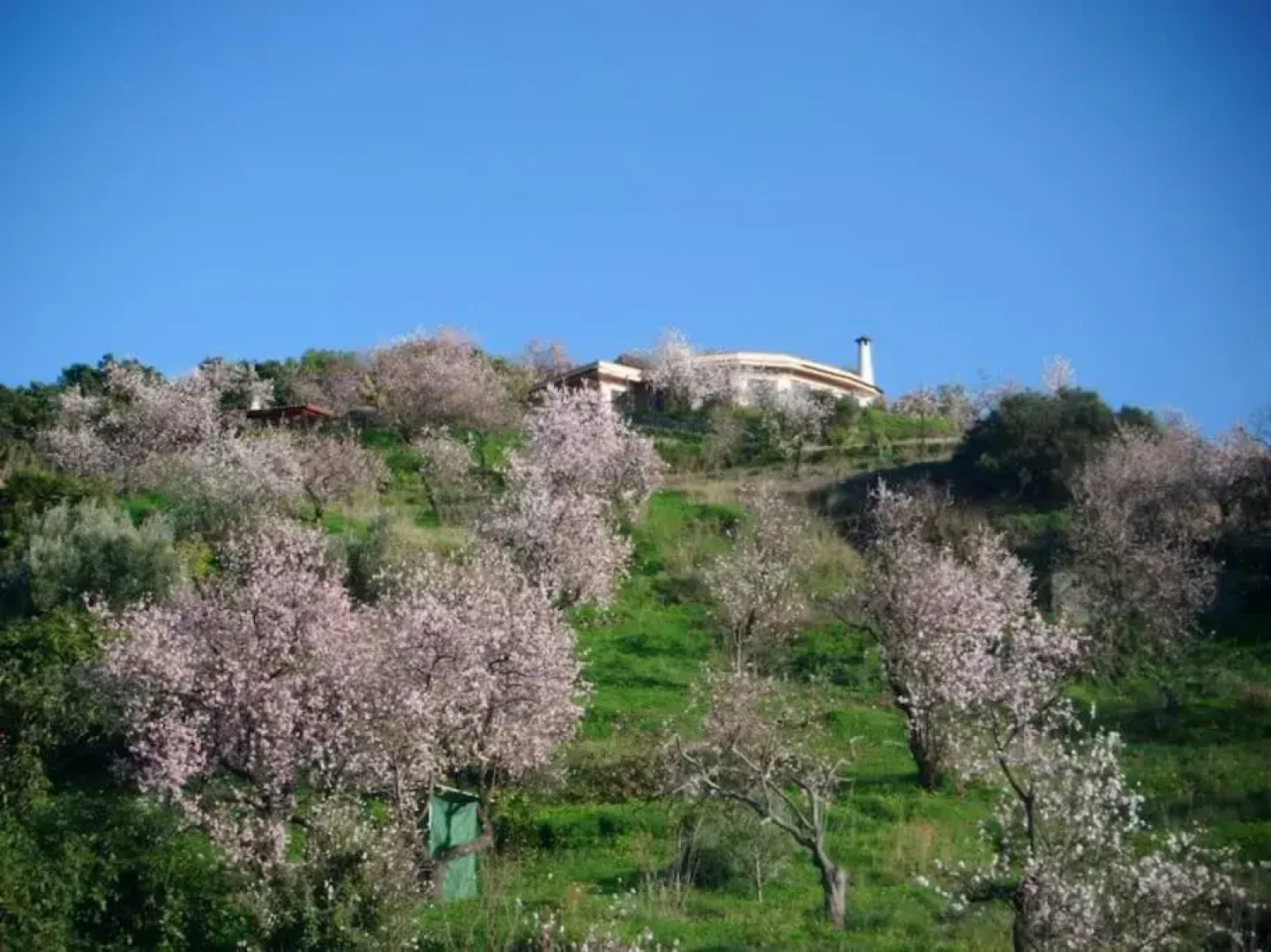 Villa Colina Tropical