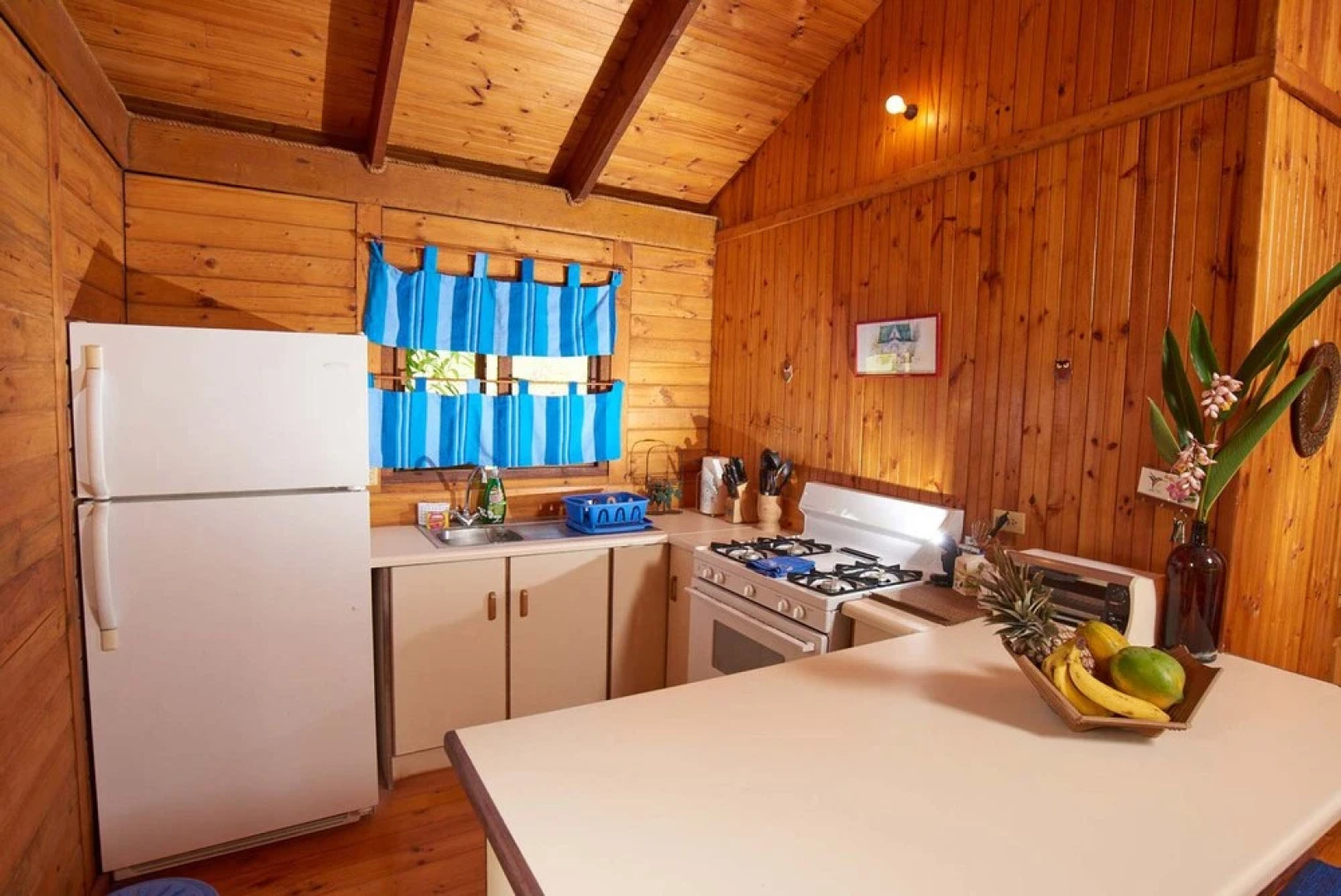 Erasmus Cove Cottages