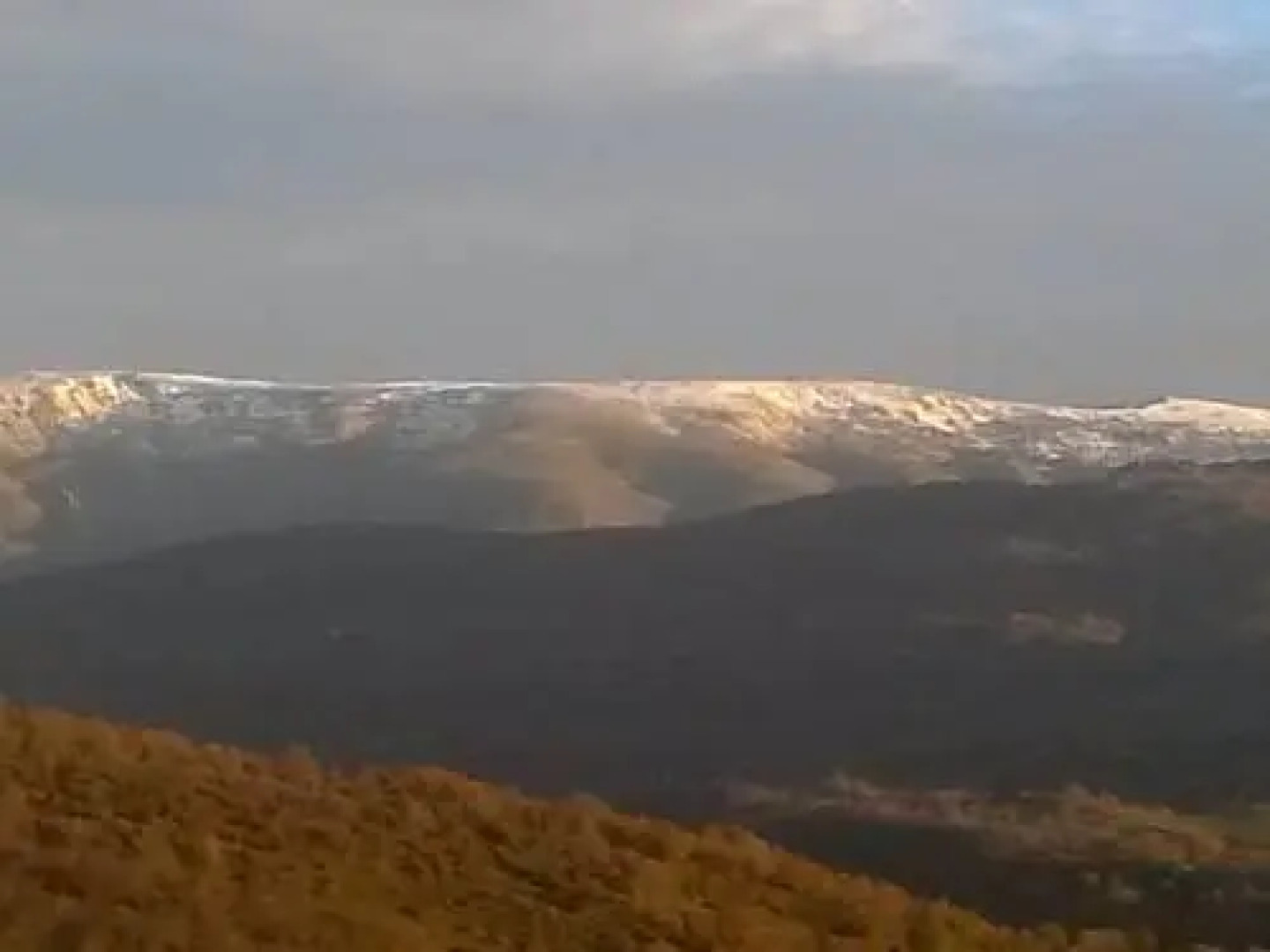 El arroyo de la plata