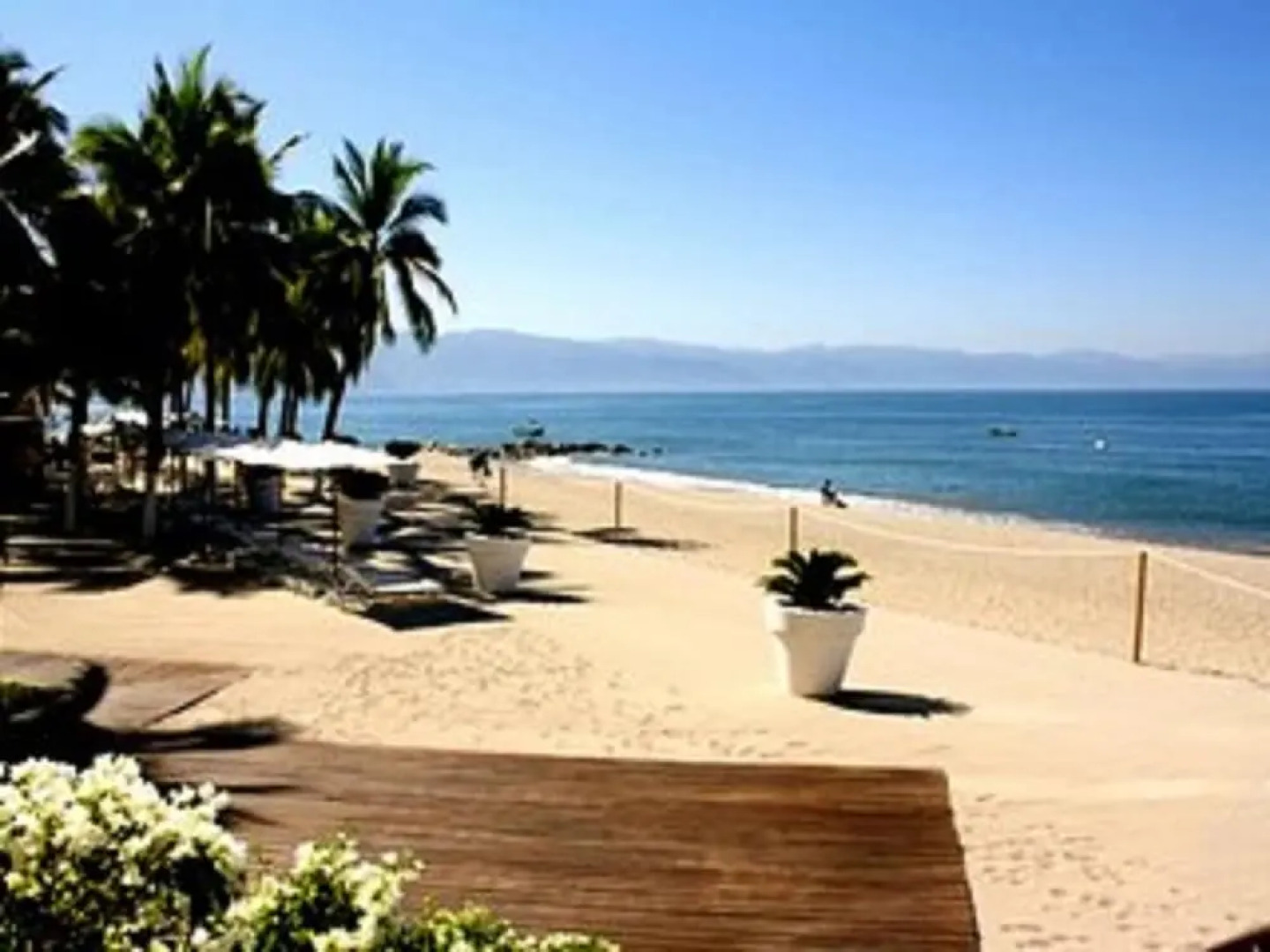 Icon Vallarta Apartments