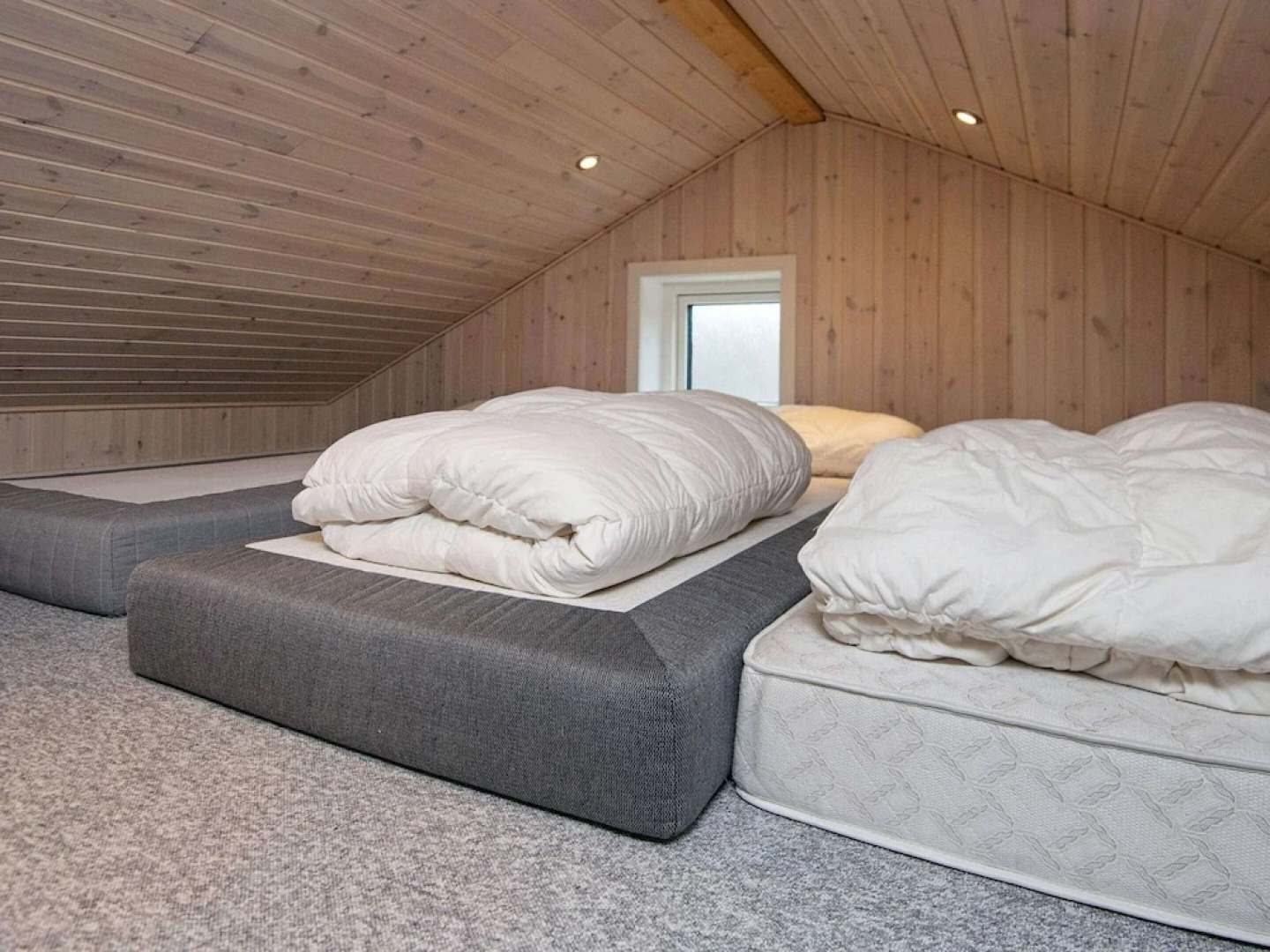 12 Person Holiday Home in Romo