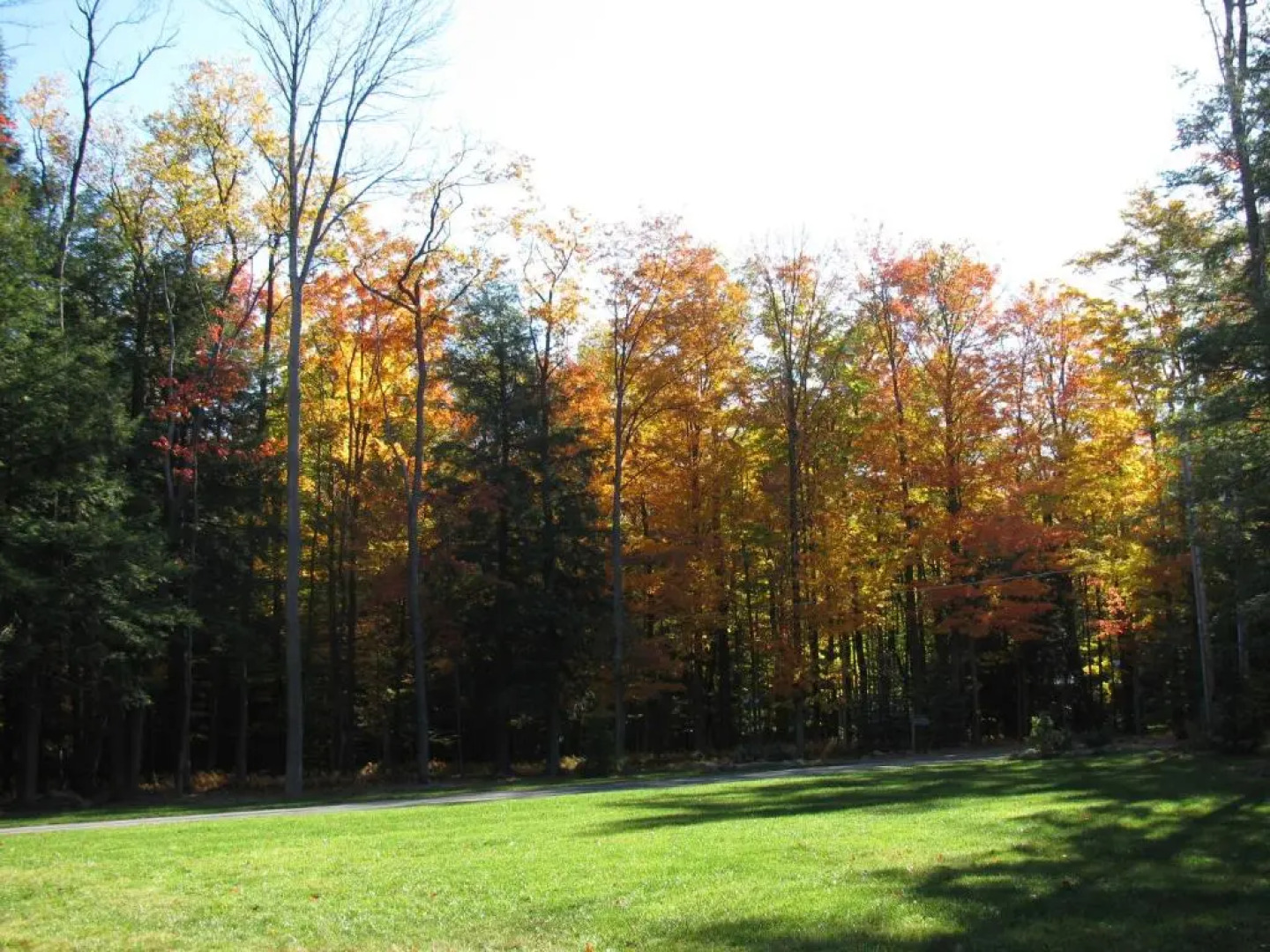 Sullivan Trail Inn & Suites