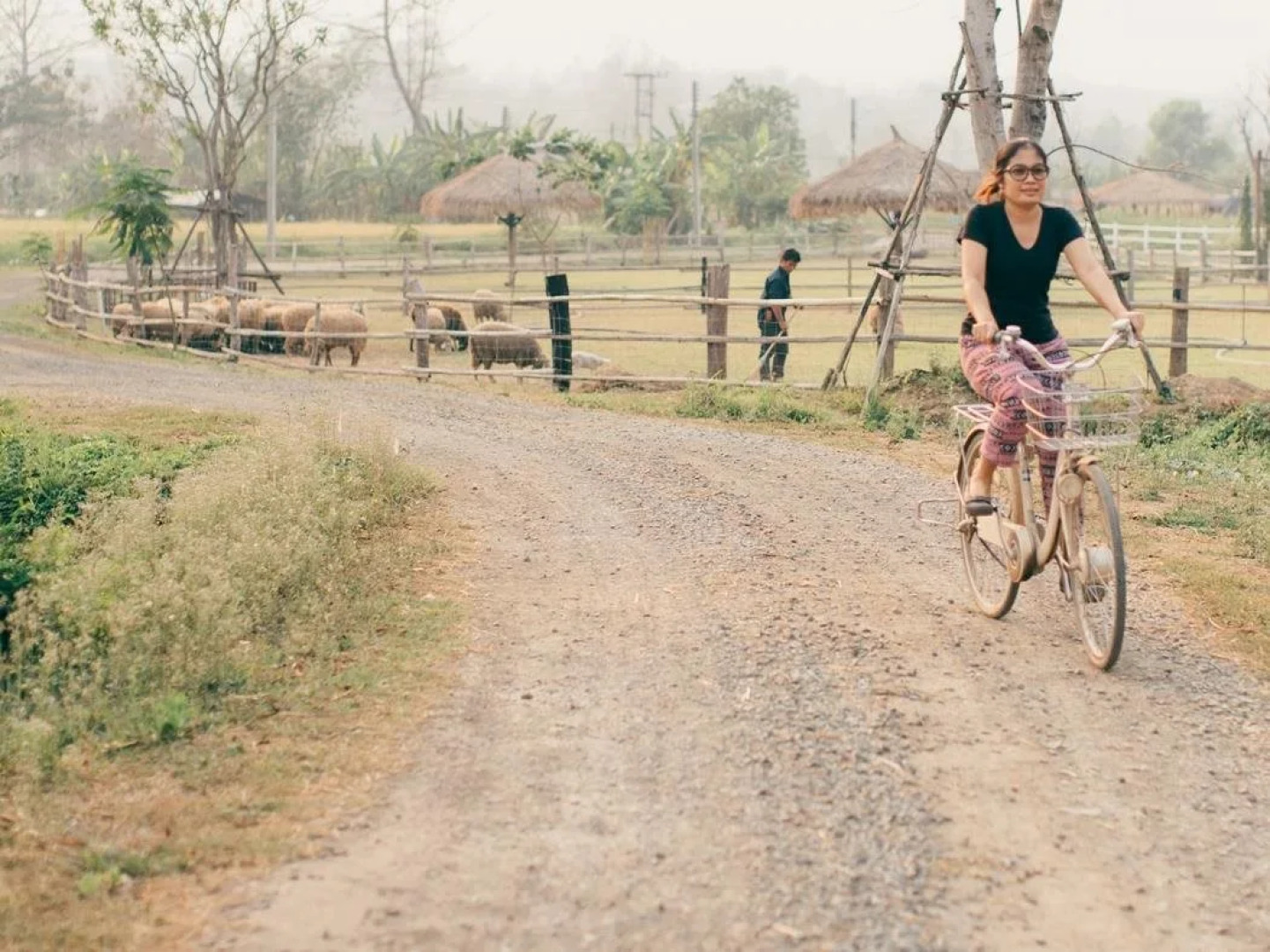 Romance Another Story in Pai