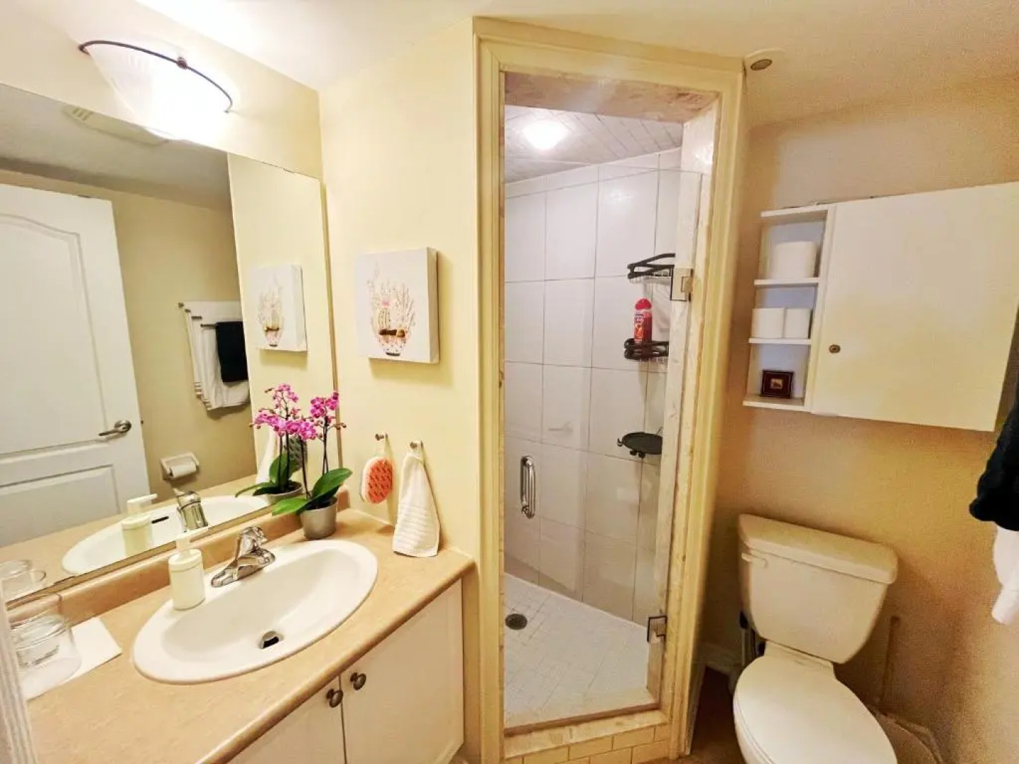 Bright Studio w Full Kitchen and Detached Bathroom