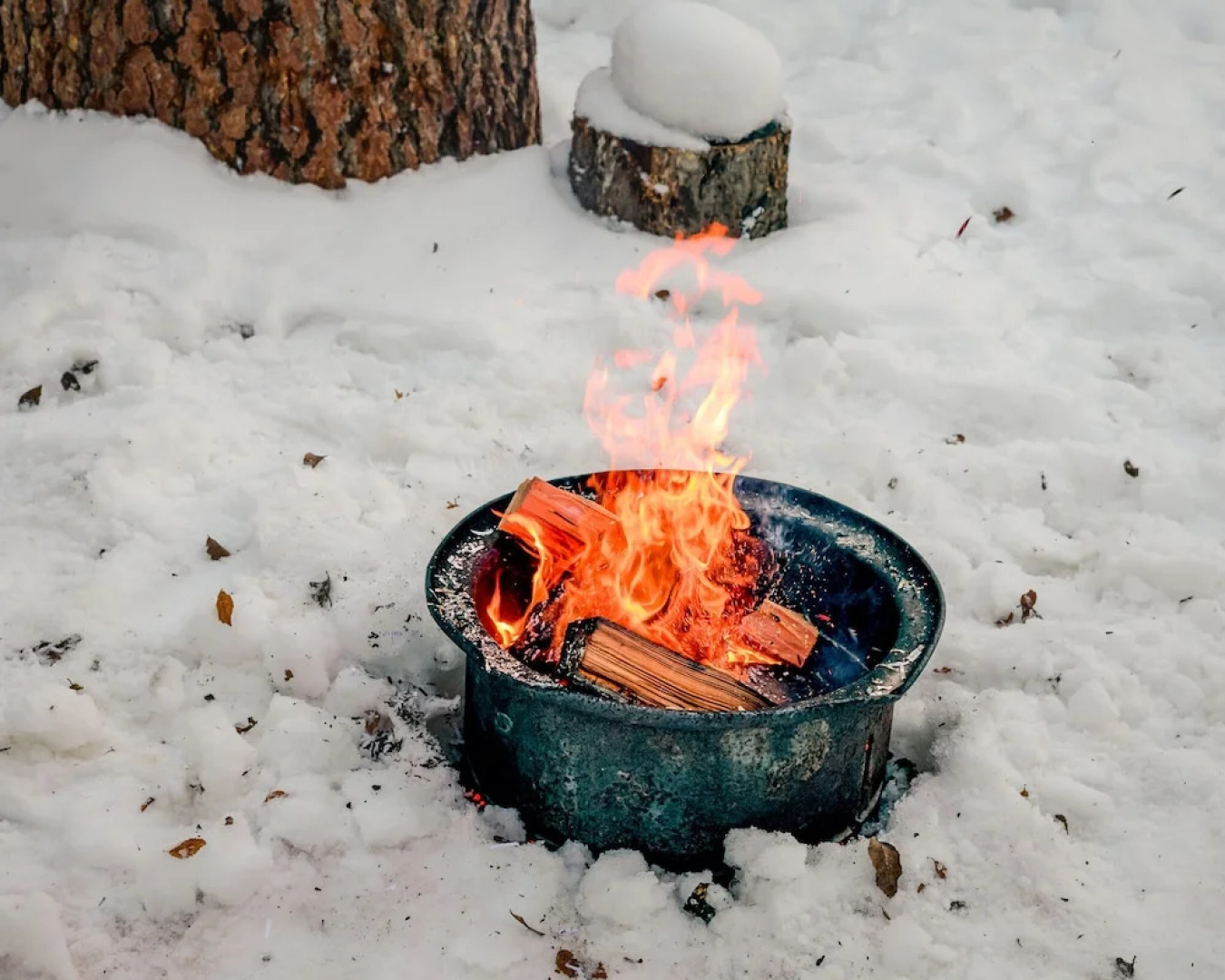 Barefoot Villas Cabin 1 Beaver w/ Hot tub