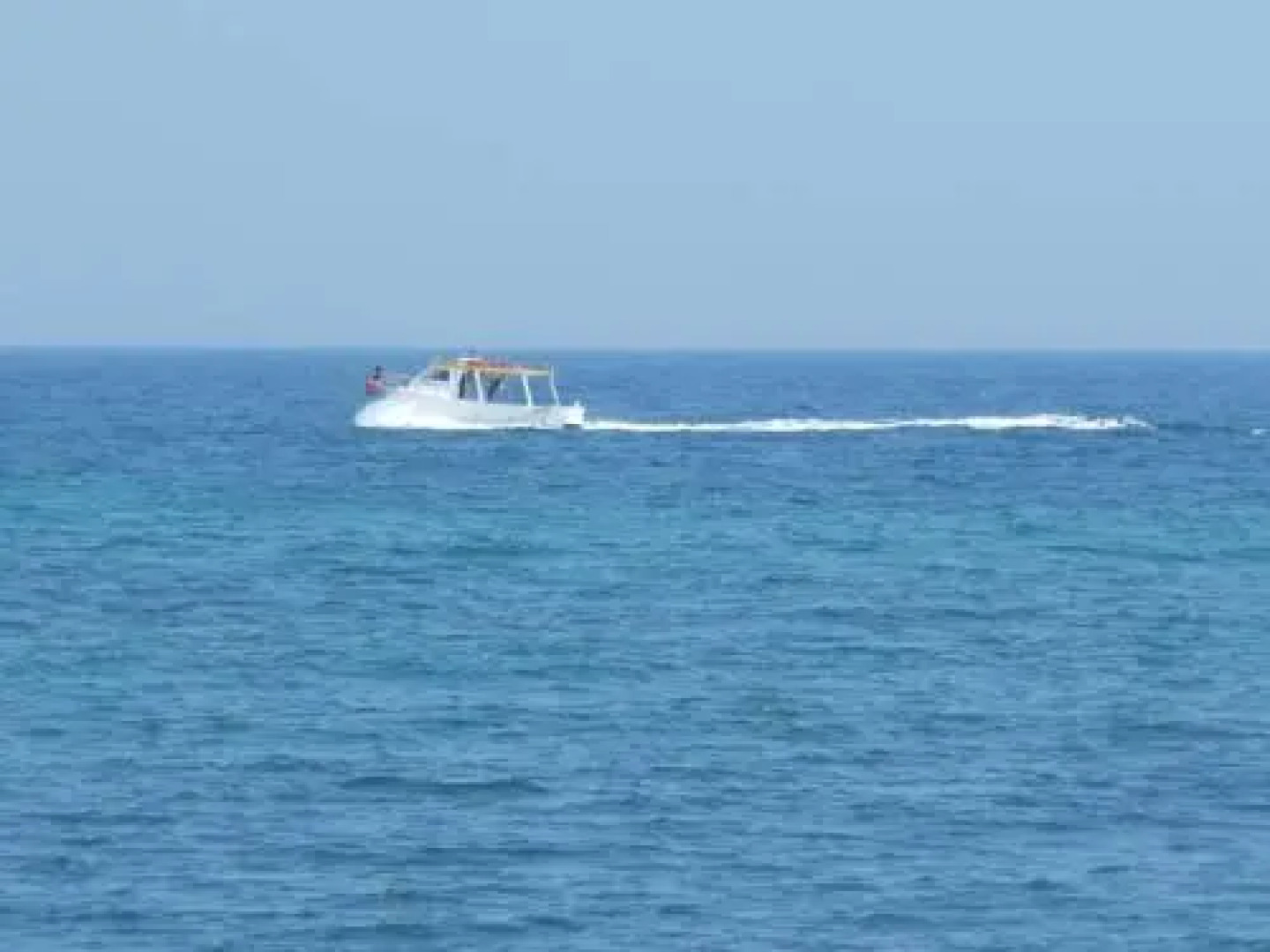 LUlivo Bed and Breakfast