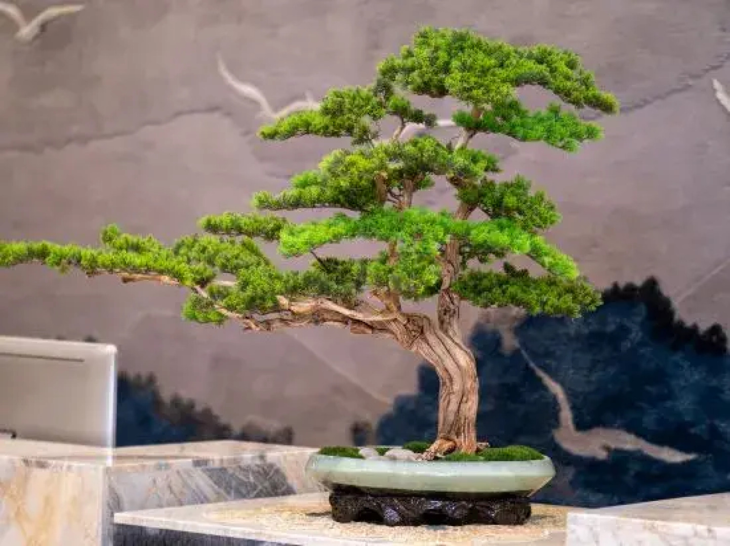 Dingxi Longwan Peninsula International Hotel