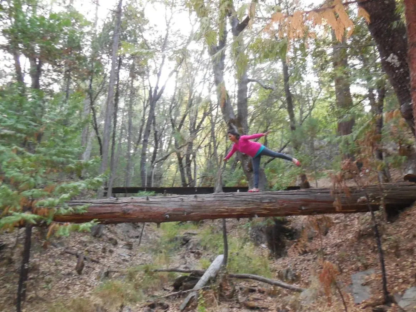 Yosemite Paradise Inn