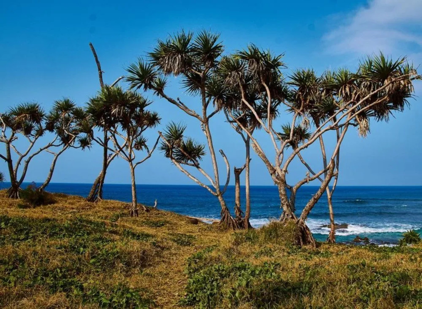 Tanna Horizon Bungalows & Tours