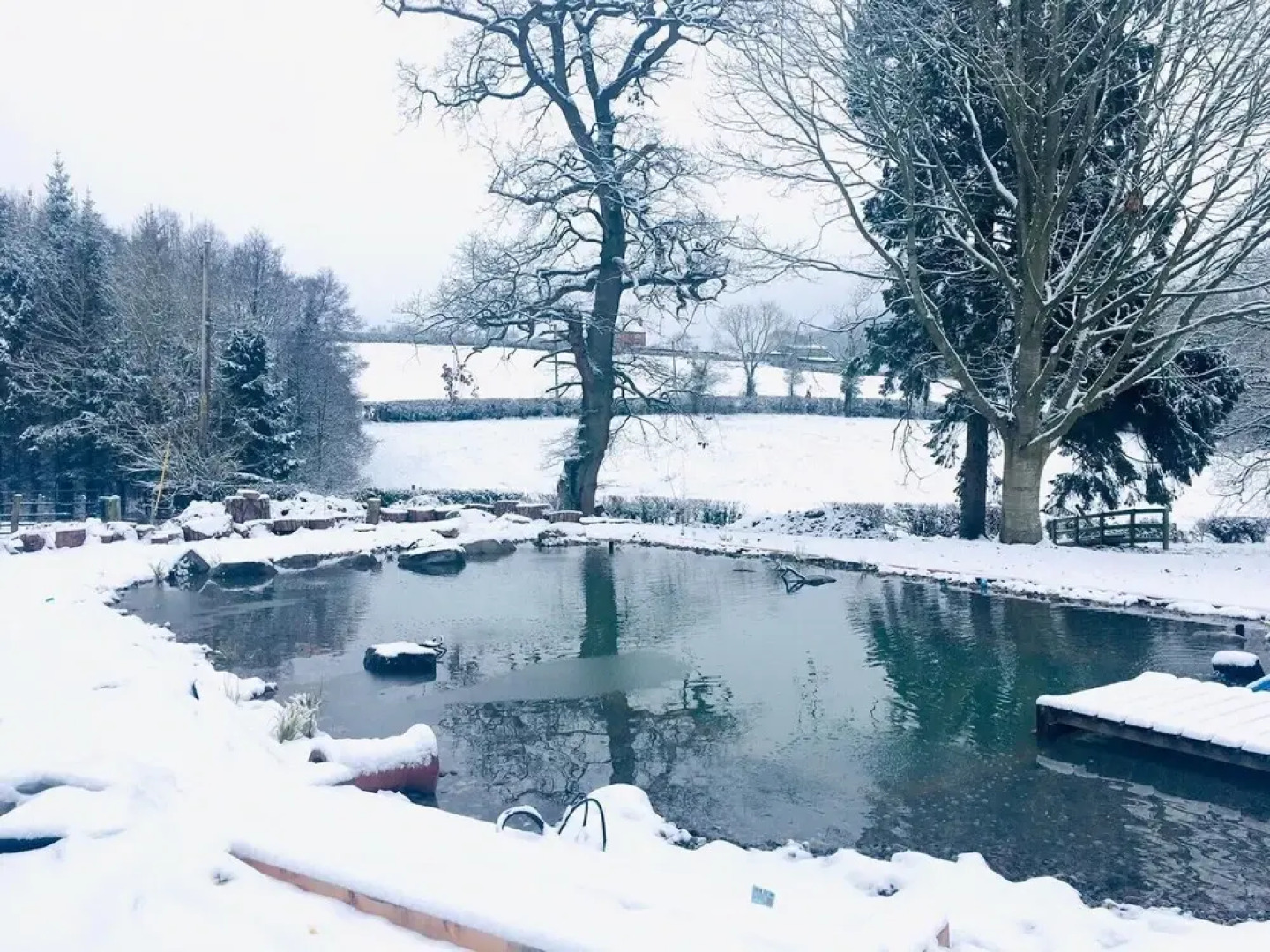 Charming Farmhouse, Natural Swimming Pool