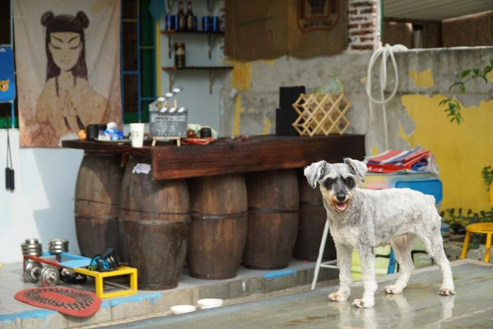 Zhuhai Cangzang Time Hostel