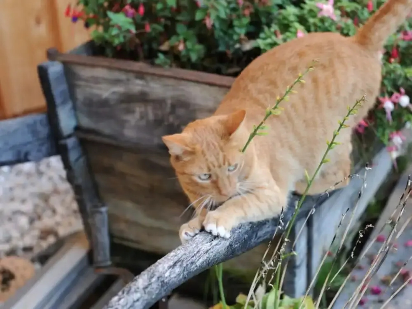 Magdalena at the Urbanhof