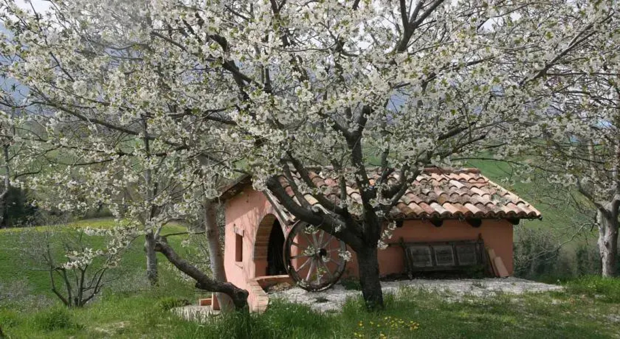 Agriturismo Fornaci Sabine