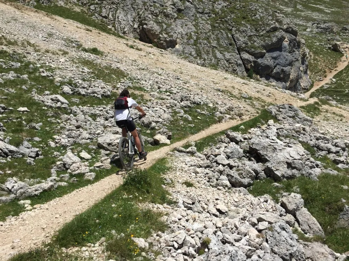 Residence Rododendro