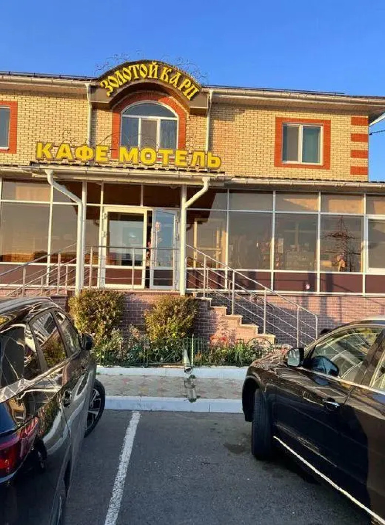 Золотой карп