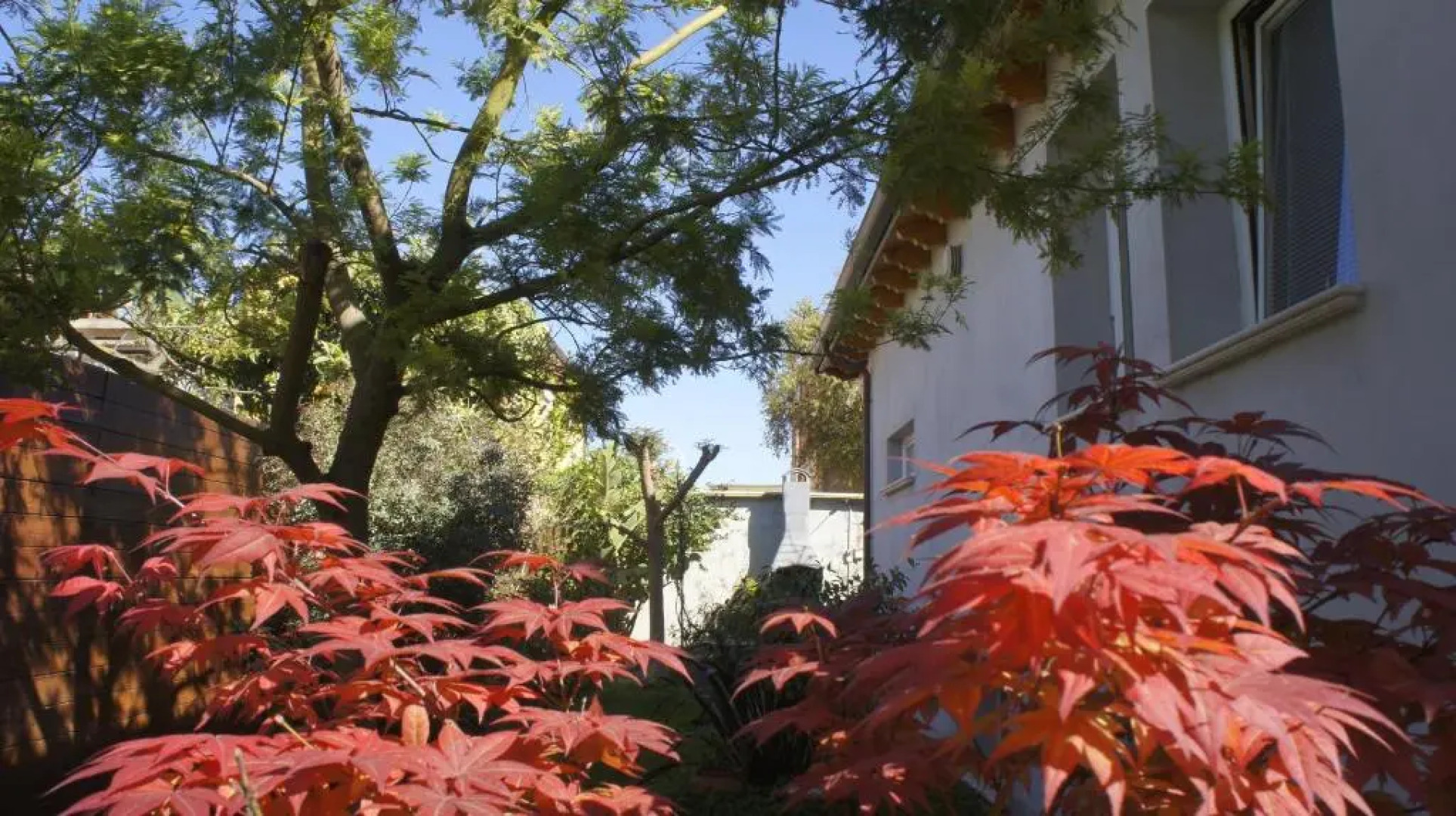 B&B Fiadora Artist House