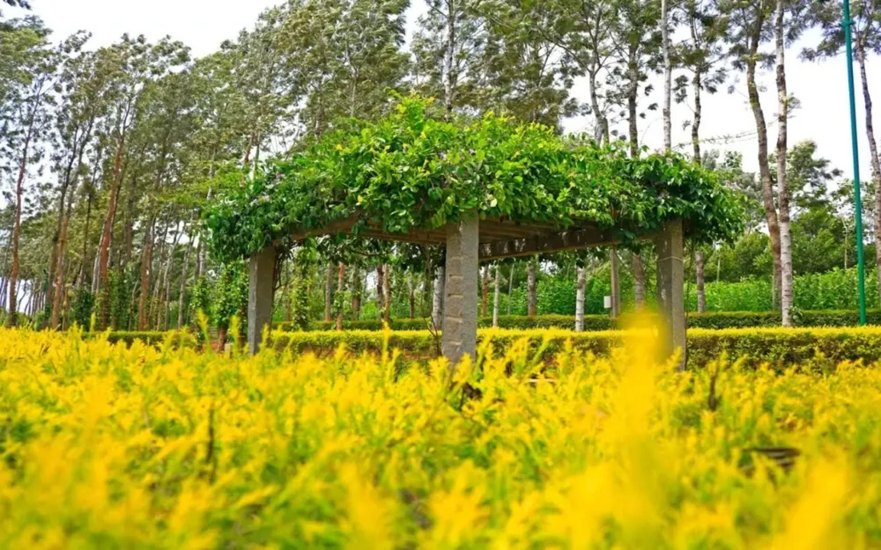 Sharmada Hidden Nest Resort