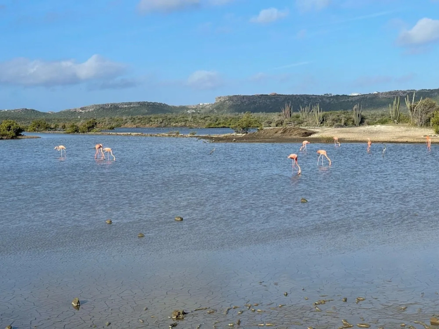 Gorgeous Villa in Rif St Marie With Private Pool