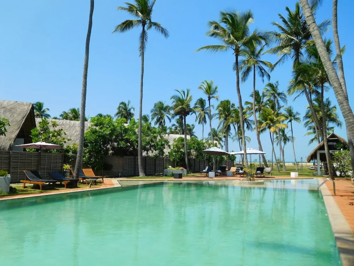 Blue Whale beach boutique Resort